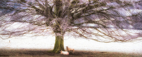 PANORAMIC - FROSTY TREE OF LIFE - 1.2m x 50cm